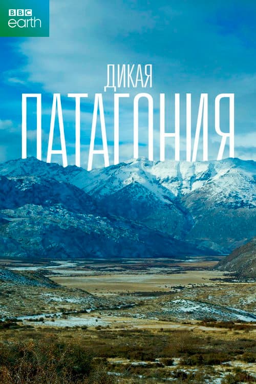 Кадр 2