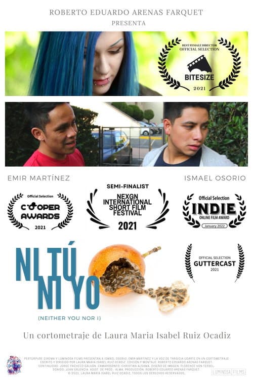 Постер: Ni tú ni yo