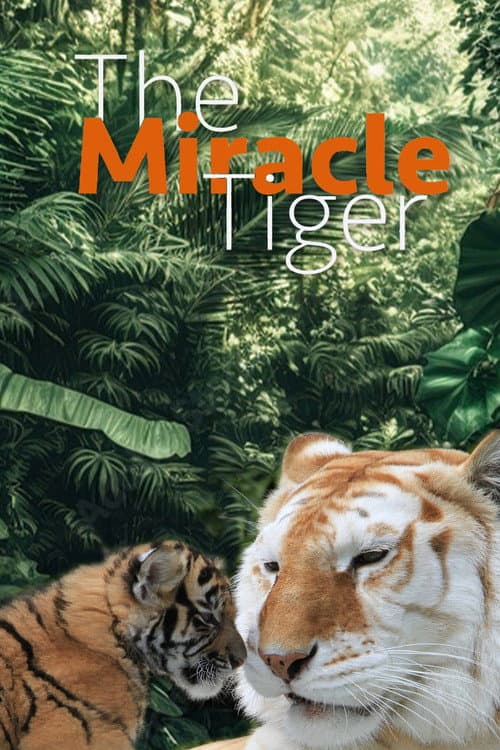 Постер: The Miracle Tiger