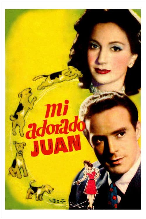 Постер: Mi adorado Juan