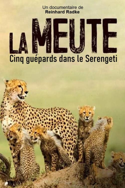 Постер: Die fünf Geparde - Gemeinsam durch die Serengeti