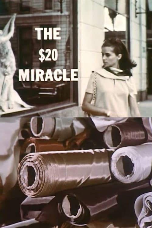 Постер: The Twenty Dollar Miracle