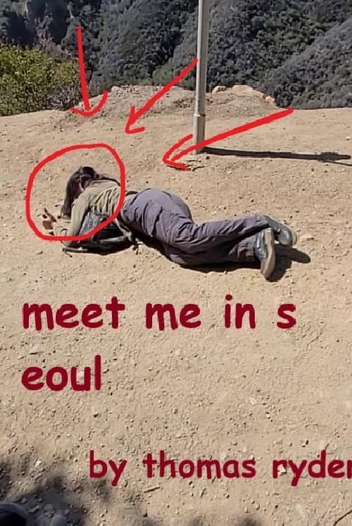 Постер: Meet Me In Seoul