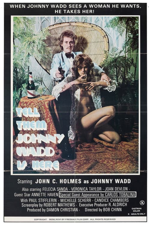 Постер: Tell Them Johnny Wadd Is Here