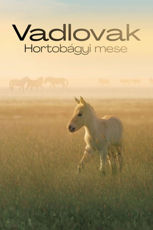 Постер: Vadlovak - Hortobágyi mese