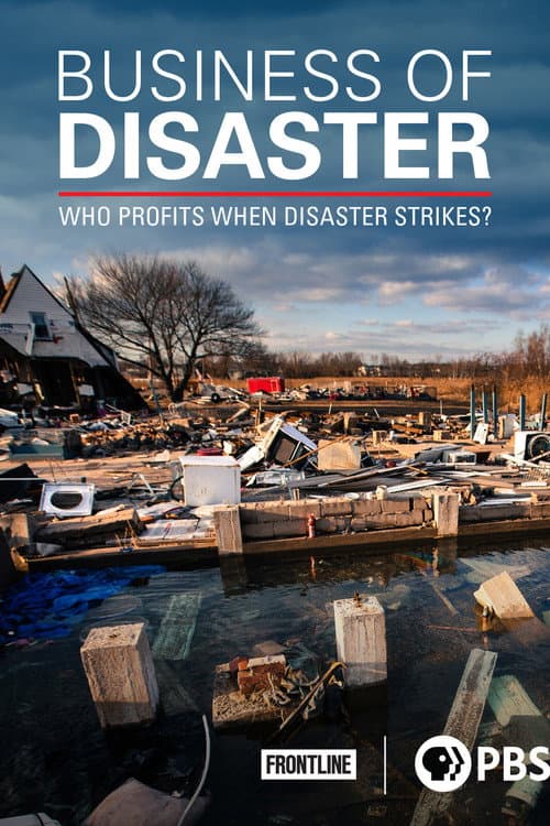 Постер: Business of Disaster