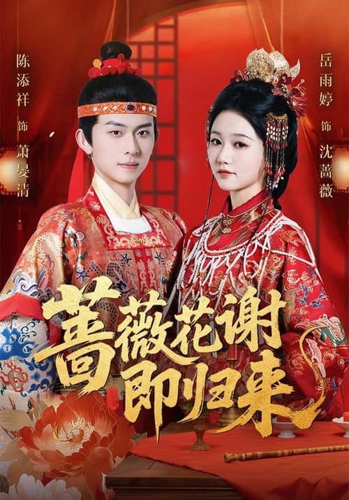 Постер: 蔷薇花谢即归来