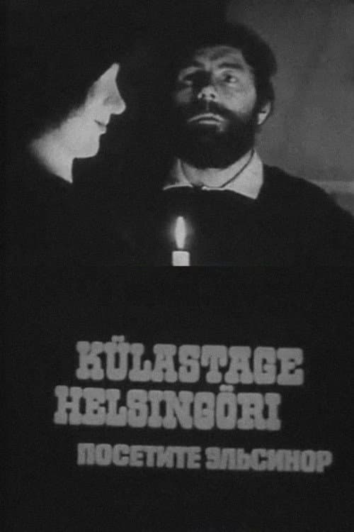 Постер: Külastage Helsingöri