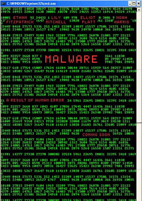 Постер: MALWARE