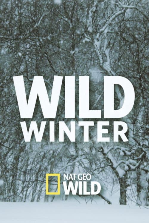 Постер: Wild Winter
