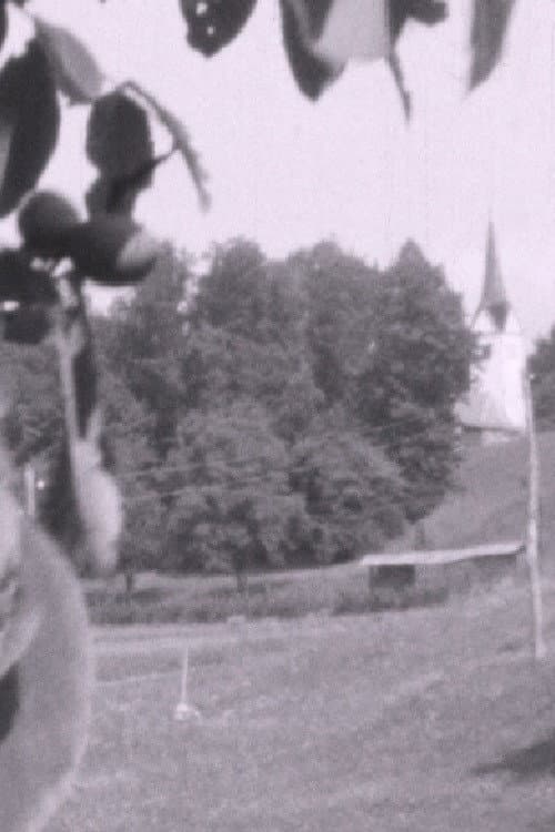 Постер: Odmev in odziv