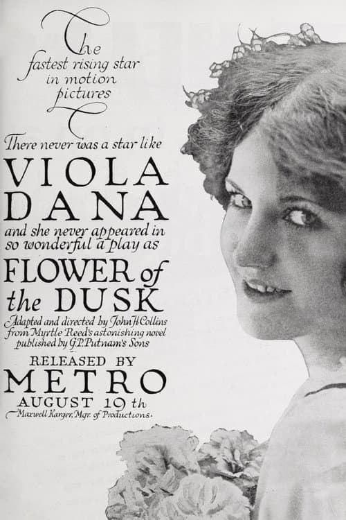 Постер: Flower of the Dusk