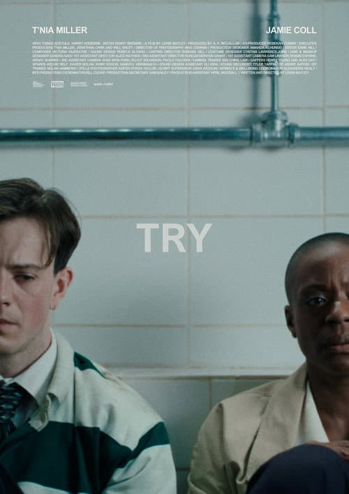 Постер: TRY