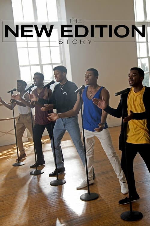 Постер: The New Edition Story