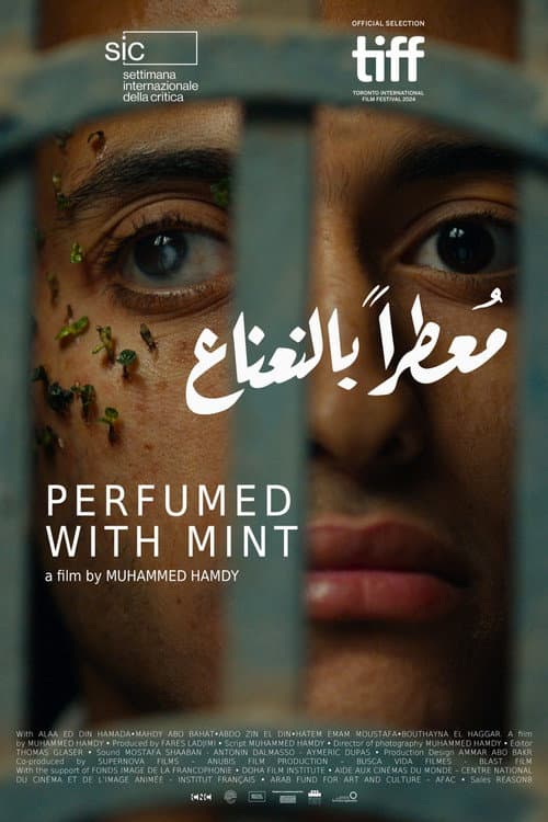 Постер: معطر بالنعناع