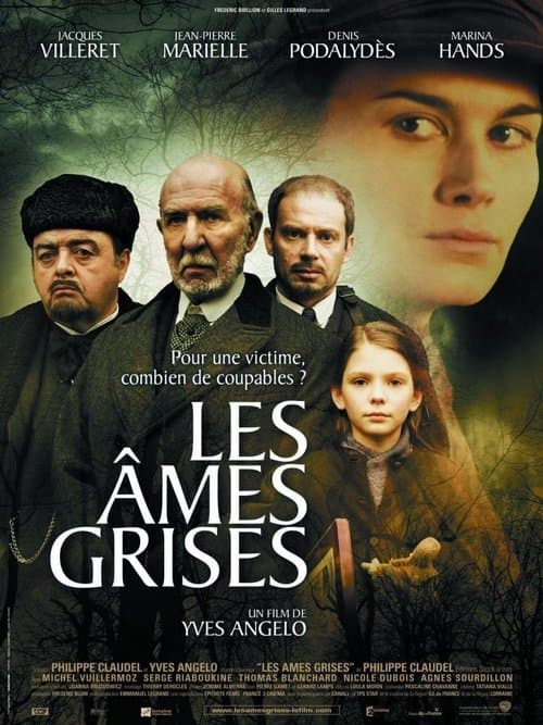 Постер: Les Âmes grises