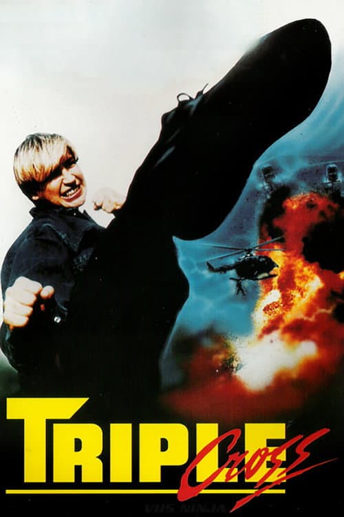 Постер: Angel Of Fury
