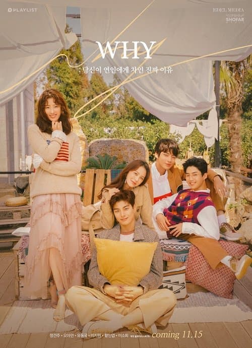 Постер: WHY: 당신이 연인에게 차인 진짜 이유