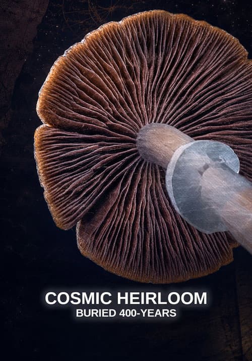 Постер: Cosmic Heirloom: Buried 400 Years