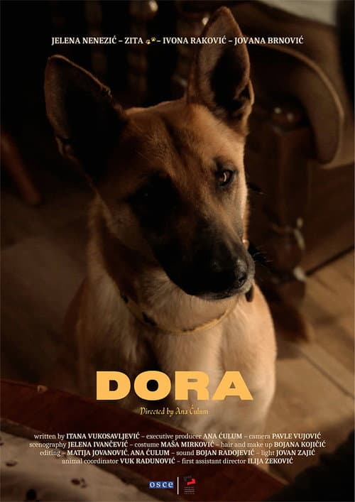 Постер: Dora