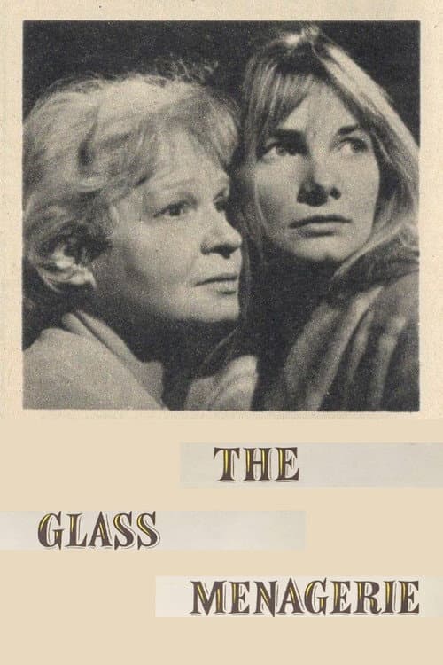 Постер: The Glass Menagerie