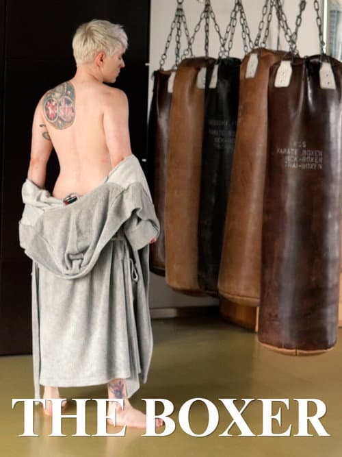 Постер: The Boxer