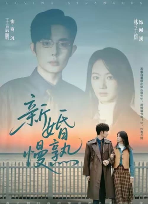 Постер: 新婚慢熟