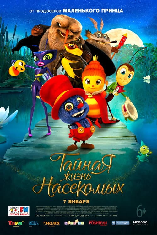 Кадр 3