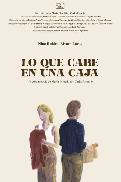 Постер: Lo que cabe en una caja