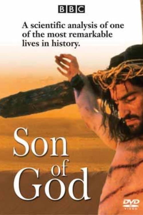 Постер: Son of God