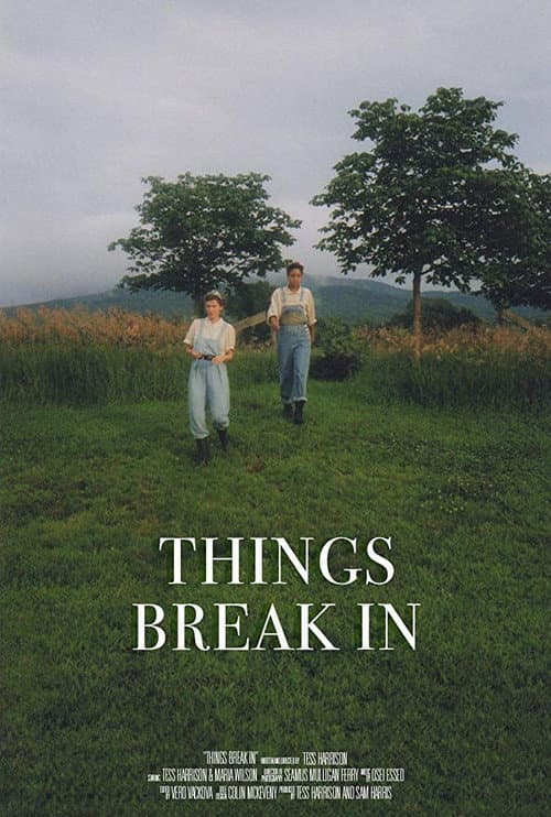 Постер: Things Break In