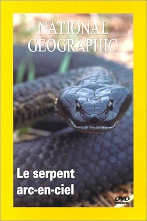 Постер: Quest for the Rainbow Serpent
