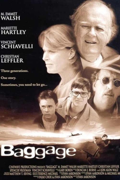 Постер: Baggage