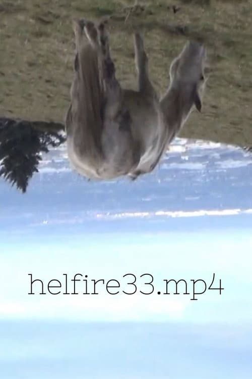 Постер: hellfire33.mp4