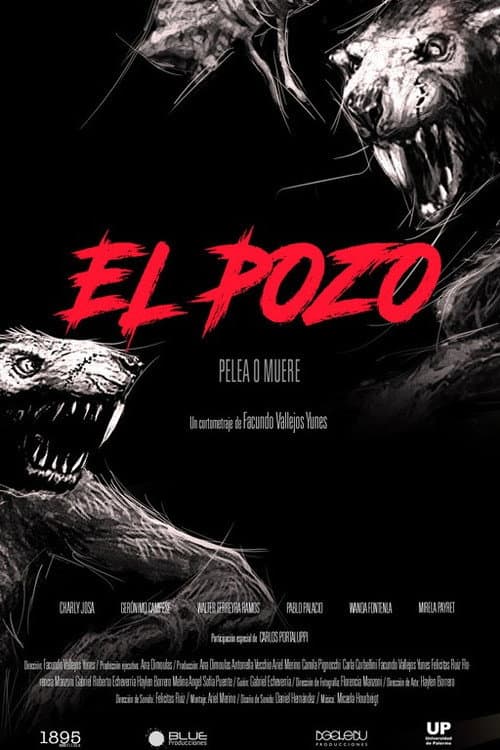 Постер: El pozo