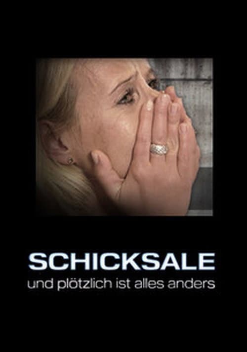 Постер: Schicksale – und plötzlich ist alles anders