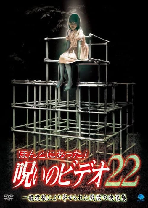 Постер: ほんとにあった! 呪いのビデオ 22