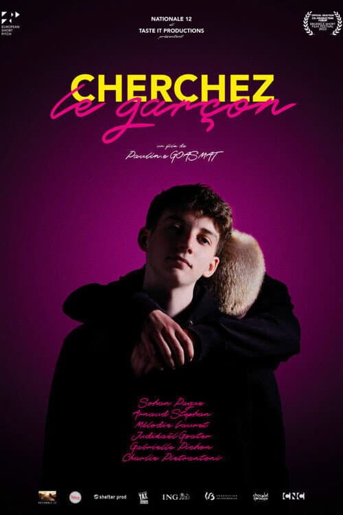 Постер: Cherchez le garçon