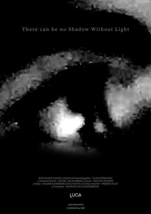 Постер: There can be no Shadow Without Light