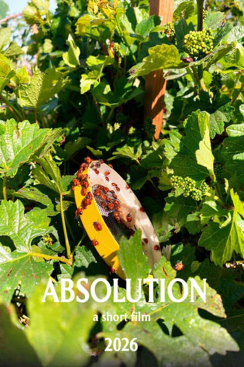 Постер: Absolution