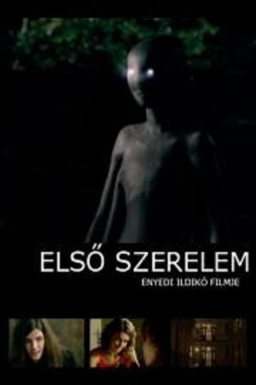 Постер: Első szerelem