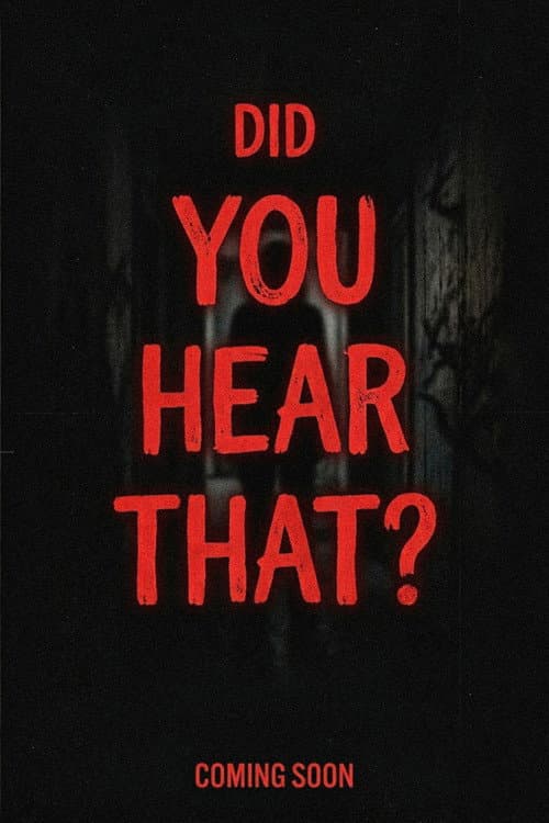 Постер: Did You Hear That?