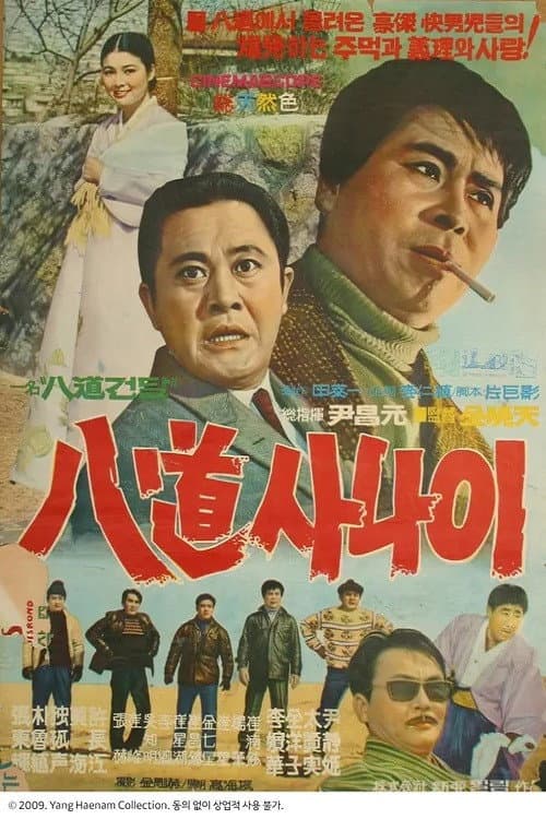 Постер: 속 팔도사나이