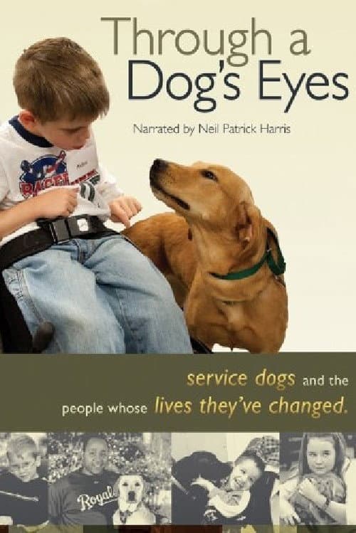 Постер: Through a Dog's Eyes