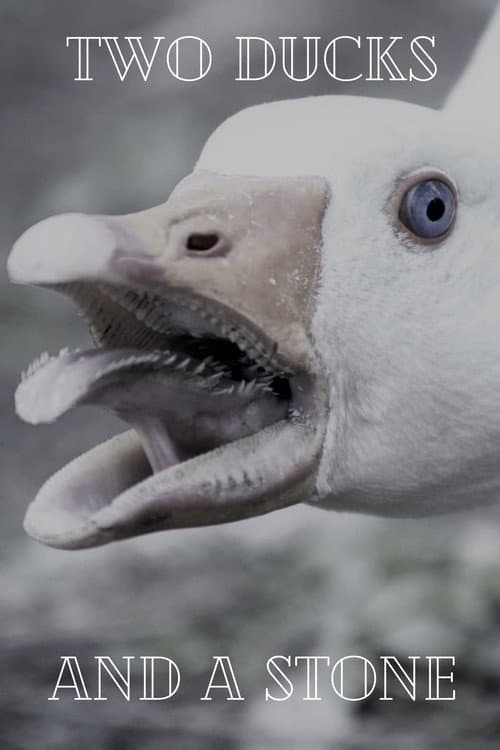 Постер: Two Ducks and a Stone