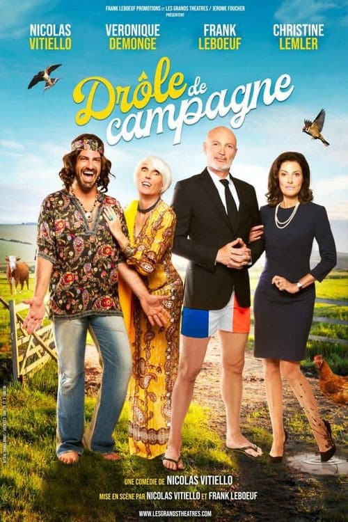 Постер: Drôle de campagne