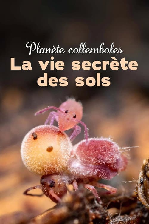 Постер: Planète collemboles : la vie secrète des sols