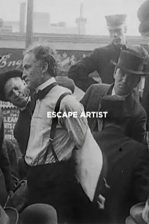 Постер: Escape Artist