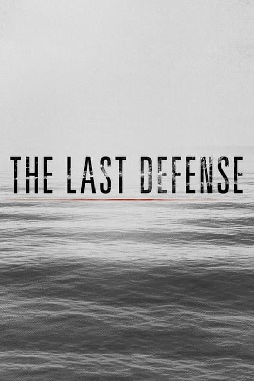 Постер: The Last Defense