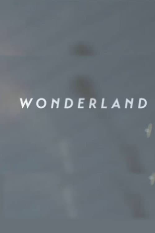Постер: Wonderland | A Short Form Doc on Creative Commerce